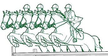 NM Lag og finaler i Norgesserien